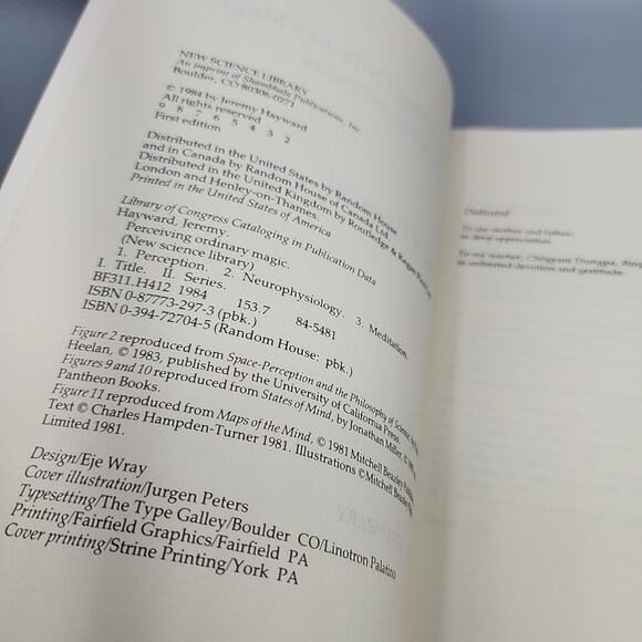 Perceiving Ordinary Magic Science and Intuitive Wisdom by Jeremy W. Hayward - Picture 6 of 13